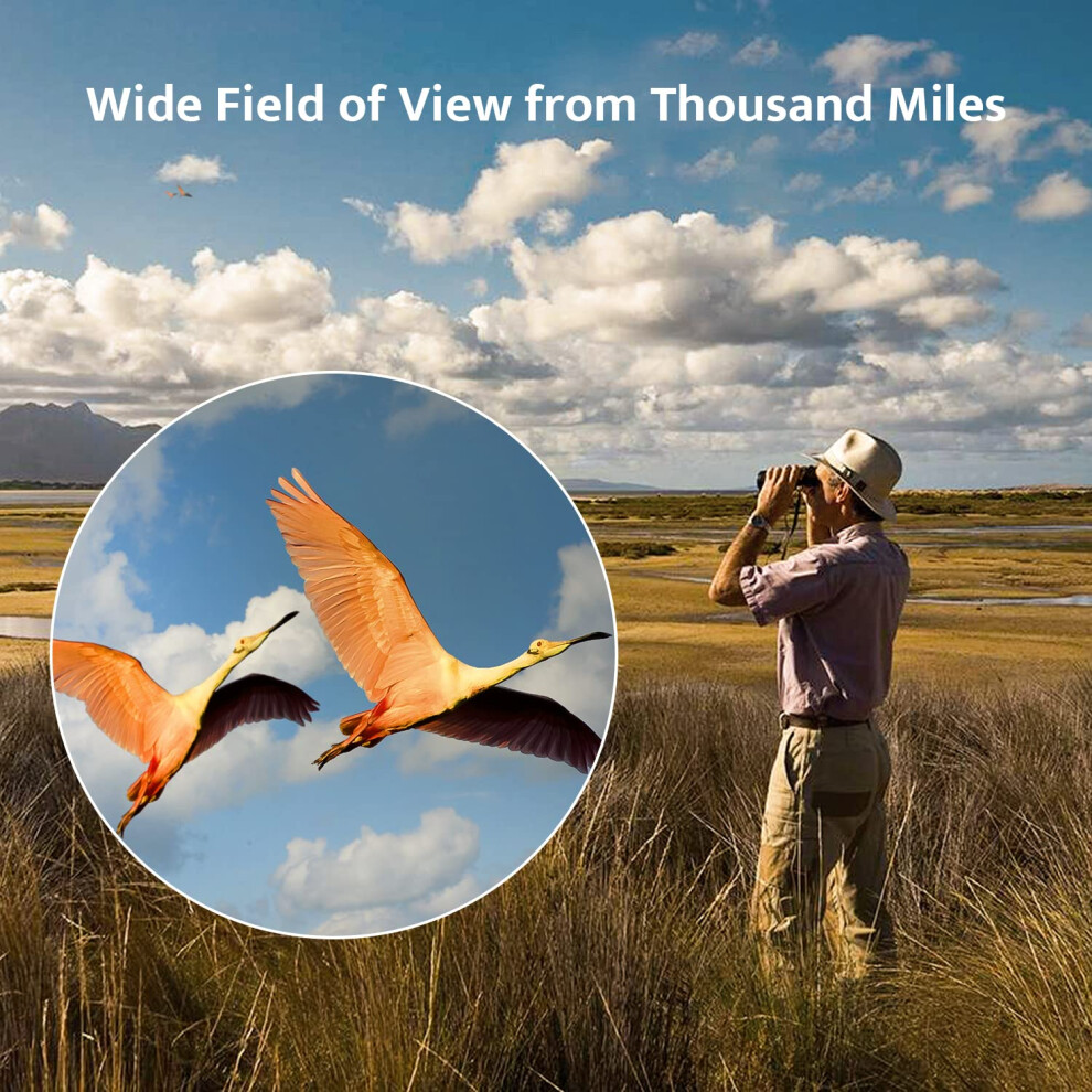 Bird Watching Best Field Glasses Binoculars For Adults Bird