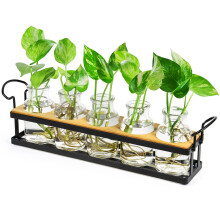 THYGIFTREE Plant Propagation Stations with Metal Stand, Tabletop Plant Terrarium for Propagating Hydroponic, Retro Glass Planter Flower Vase Home