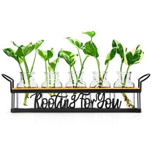THYGIFTREE Plant Propagation Stations with Metal Stand, Tabletop Plant Terrarium for Propagating Hydroponic, Retro Glass Planter Flower Vase Home