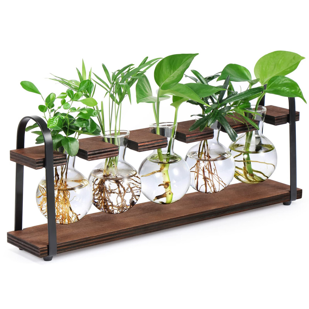 THYGIFTREE Plant Propagation Stations with Wooden Stand, Desktop Retro Plant Terrarium Bulb Vase for Indoor Hydroponic Flowers, Tabletop Glass Planter-image-OPC-PF2NMMS-NEW