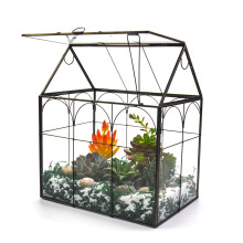 Large Tall Glass Plant Terrarium ? Decorative House Glass Terrarium with Lid,Indoor Desk Tabletop Terrarium glass container for Orchid Succulent Cacti