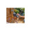 Gardena GARDENA Flex irrigation controller for quick automatic irrigation for the terrace and balcony, easy to use, Water Now function, Color 2