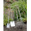 Spear & Jackson Spear & Jackson 4552BF - Traditional Border Fork , Blue 2