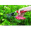 Felco FELCO Model 7 Secateurs (Large, Rotating Handle) 5