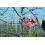 Felco Felco FEL2 Model 2 Original Secateurs, Red 5