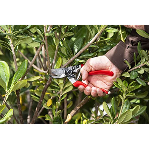 Felco FELCO Model 8 Secateurs (Large) 2
