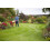 Flymo Flymo Contour XT Electric Grass Trimmer and Edger, 300 W, Cutting Width 25 cm 5