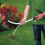 Black + Decker BLACK+DECKER Electric Strimmer with Automatic Single Line Feed, Cutting Width 33cm, Adjustable Second Handle for Balance and Control, 10m Cable 5