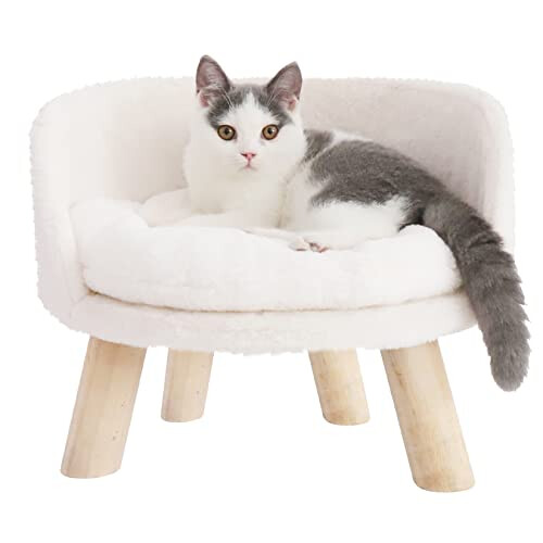 Cat bed with legs best sale