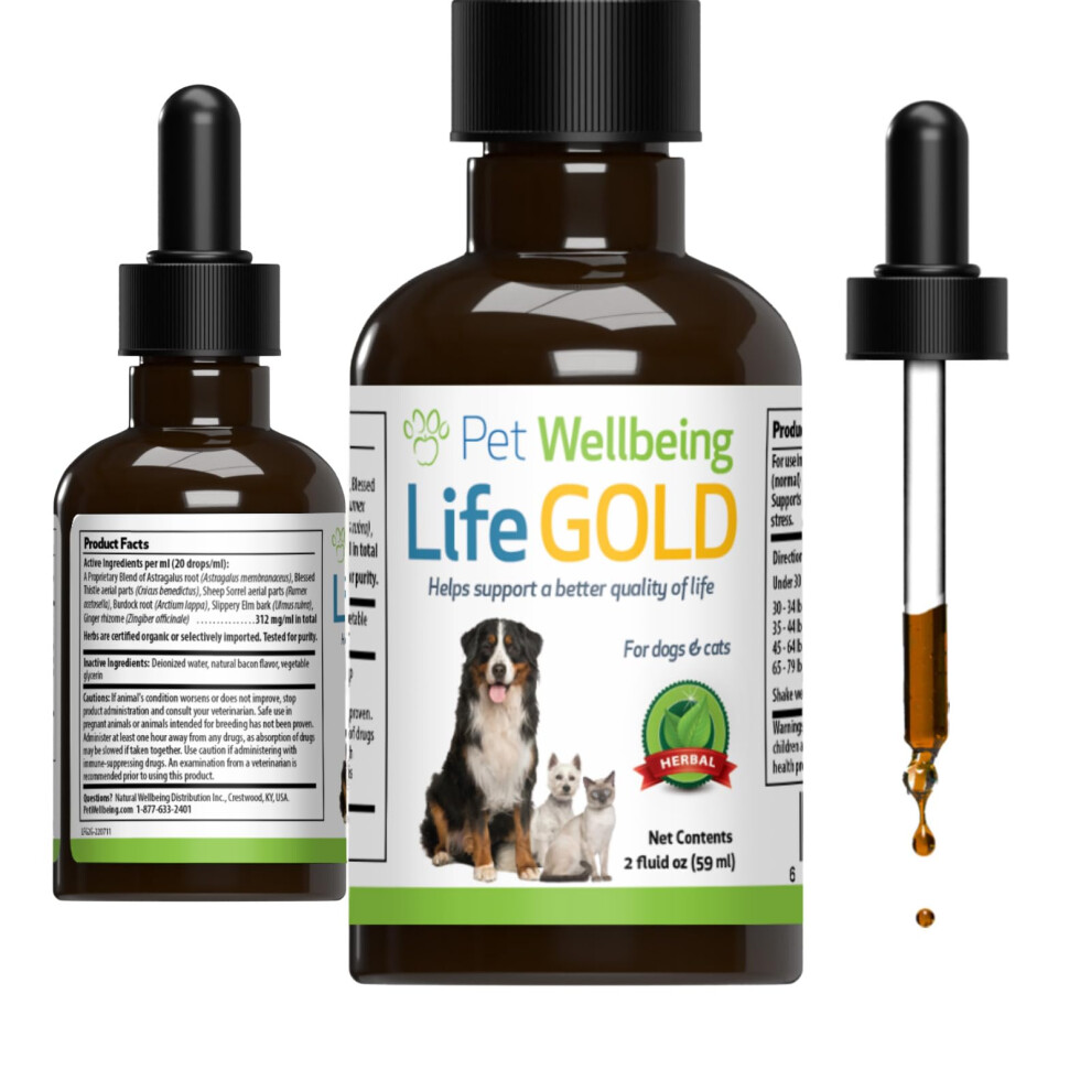 Pet Wellbeing Life Gold For Dogs - Vet-Formulated - Immune Support And Antioxidant Protection - Natural Herbal Supplement 2 Oz (59 Ml)