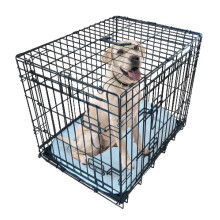 Ellie-Bo Black Deluxe Small 24 inch Dog Cage