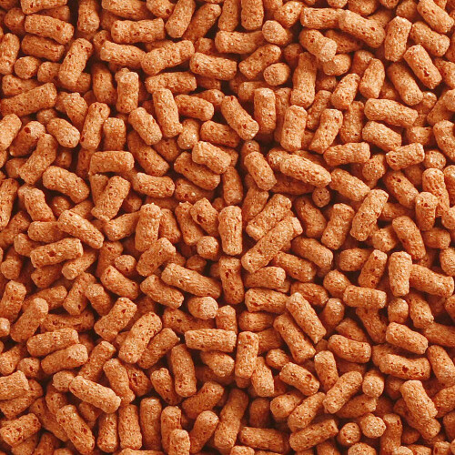 PETTEX Pettex Premium Orange Koi Sticks 5 kg 1