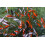PETTEX Pettex Premium Orange Koi Sticks 5 kg 3