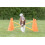 Trixie Trixie Dog Agility Obstacles, set 3 pcs.,orange, yellow 2