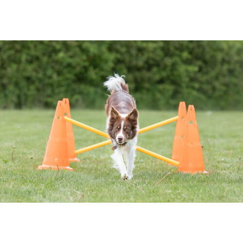 Trixie Trixie Dog Agility Obstacles, set 3 pcs.,orange, yellow 1