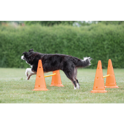 Trixie Trixie Dog Agility Obstacles, set 3 pcs.,orange, yellow 2