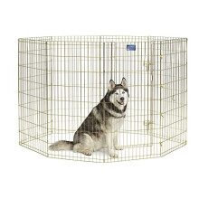 MidWest Foldable Metal Dog Exercise Pen / Pet Playpen with Door; 60.96W x 121.92H centimeters; Gold Zinc; 548-48
