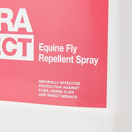 NAF Off Extra Effect 2
