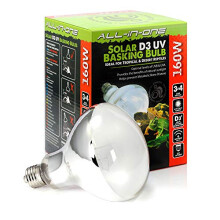 Komodo Solar D3 UV 160W Basking Bulb, Heat and Light Bulb for Reptile Habitats, Reptile Bulbs, Terrarium and Vivarium Lighting and Heating Bulb