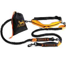 Barkswell Hands Free Dog Lead for 2 Dogs - Dual Bungee Running Belt with 2-Lead System, Reflective & 2-Compartment Pouch (BWHANDSFREE)