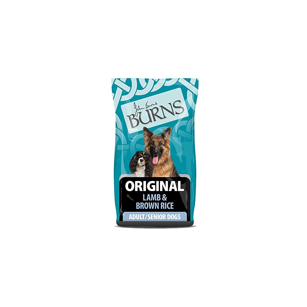 Burns Pet Nutrition Hypoallergenic Complete Dry Dog Food Adult and Senior Dog Original Lamb and Brown Rice 6 kg