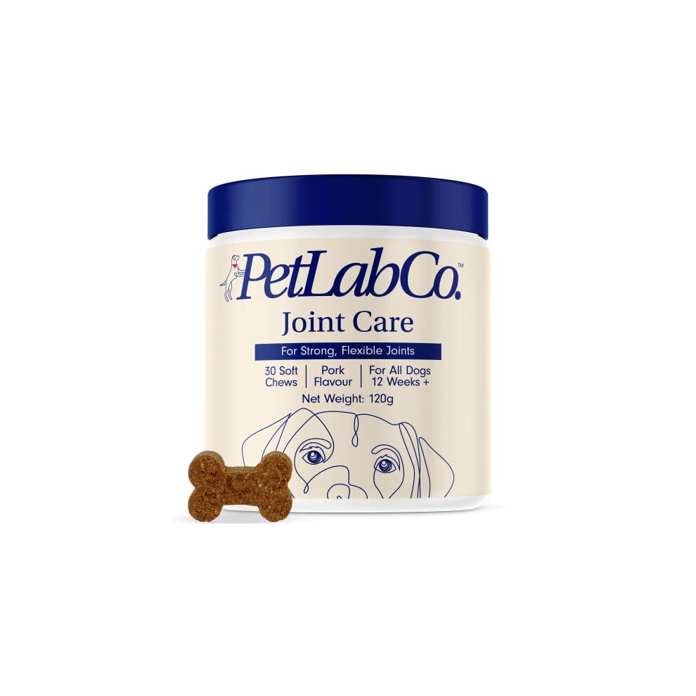 Petlab Co. Joint Care Chews ? Daily Joint Supplements For Dogs - Help Promote An Active & Healthy Life - Rich In Glucosamine, Turmeric, Salmon Oil To