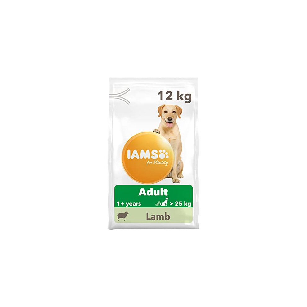 IAMS Complete Dry Dog Food for Adult 1+ Large Breeds with Lamb 12 kg