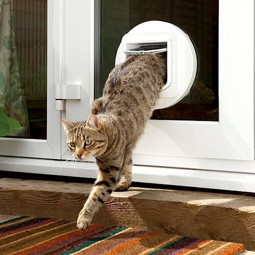SureFlap Microchip Cat Flap - White 1