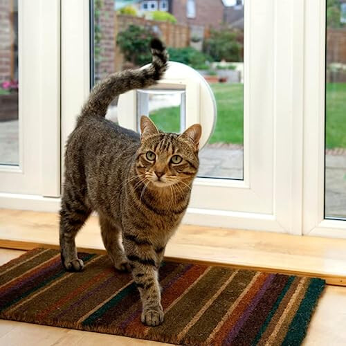SureFlap Microchip Cat Flap - White 2