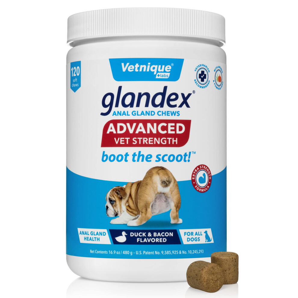 Glandex Anal Gland Soft Chew Treats with Pumpkin for Dogs Digestive Enzymes Probiotics Fiber Supplement for Dogs Boot the Scoot by Vetnique Labs on OnBuy