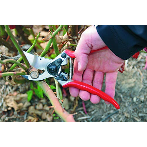 Felco FELCO Model 11 Secateurs (Large) 2