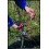 Felco FELCO Model 11 Secateurs (Large) 5