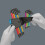 Wera 967/9 TX Multicolour Holding Function L-Key Set of 9 (TX8-TX40) 4