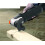 WORX WORX WX686.1 250W Sonicrafter Oscillating Multi-Tool with 19-Piece Accessory Kit 4