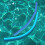 2x Zwembad Noodle Float Hulp Woggle Logs Noedels Flexibele Nat 9