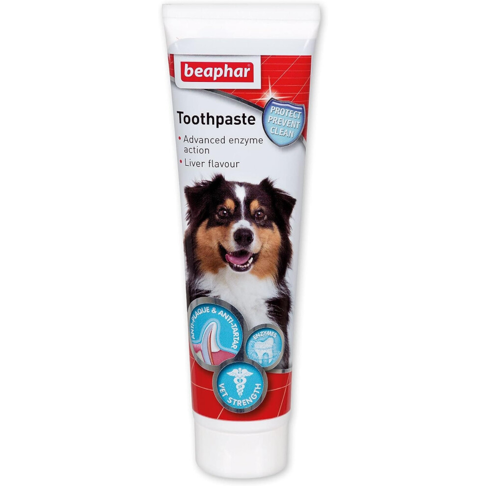 Beaphar | Advanced Dual-Enzyme Toothpaste Dental Care for Dogs & Cats Helps Prevent Bad Breath & Combat Plaque Liver Flavoured 100g Tube