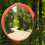 (60CM) Wide Angle Security Curved Convex Road Mirror 3