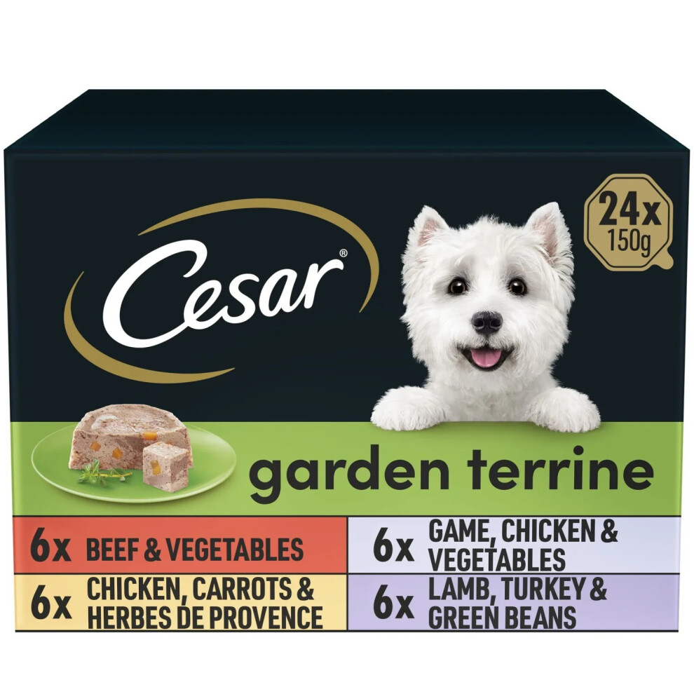 24 x 150g Cesar Garden Terrine Adult Wet Dog Food Trays Mixed Selection in Loaf