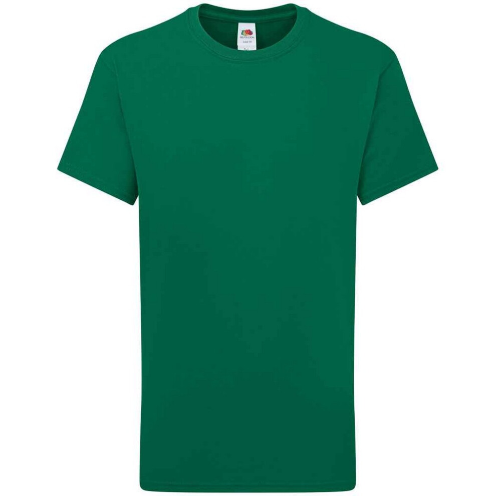 (14-15 Years, College Green) Fruit of the Loom Childrens/Kids Iconic 195 Premium T-Shirt