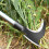 Hand sickle garden sickle scythe hatchet head ax head 2in1 grass trim 5