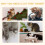 PawHut PawHut Cat Tree Scratching Post Activity Centre Climber Hanging Ball Beige 6