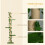 PawHut PawHut 242cm Floor to Ceiling Cat Tree with Leaves Scratching Post, Green 5