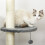 PawHut PawHut Floor to Ceiling Cat Tree with Condo Scratching Post, Light Grey 3