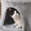 PawHut PawHut Multi-level Cat Tree Tower with Condo Scratching Post, 150cm, Grey 7