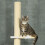 PawHut PawHut 220-260cm Kitten Tower, Multi-Layer Floor to Ceiling Cat Tree, Yellow 7