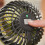 Ryobi Ryobi USB Lithium Clamp Fan 4V RCF4-0 (Tool Only) 3