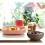 BEABA Béaba - Silicone Feeding Suction Plate - for Babies and Children - Pink 7