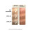 Wella Permanent Dye Wella Color Fresh 150 ml 6