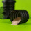 Grenade Shaker with Capsule Storage Facility, Black 5
