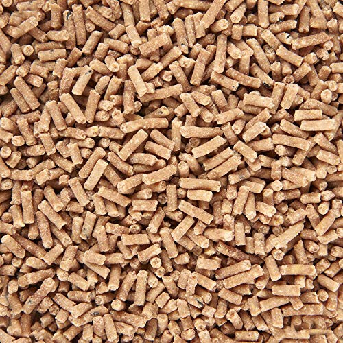 Premium Mealworm Suet Pellets, 3 Litre 2